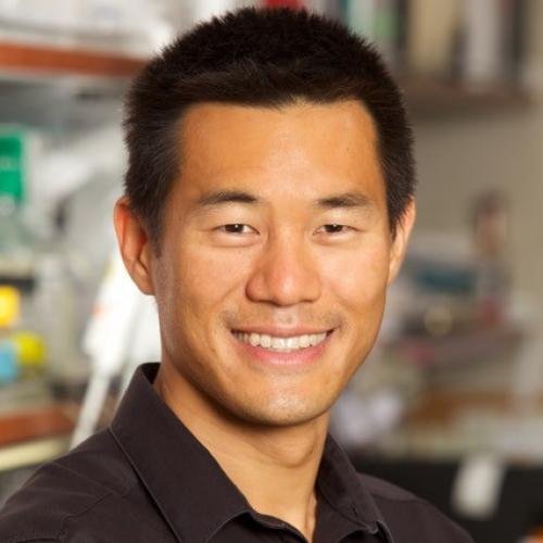 Eugene Yeo