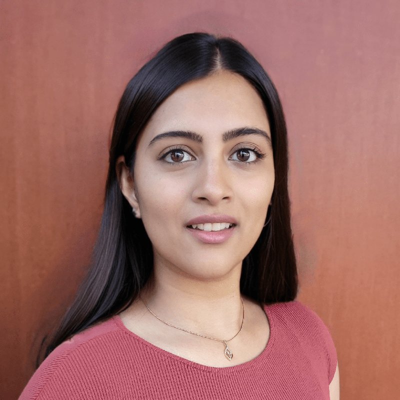 Nivi