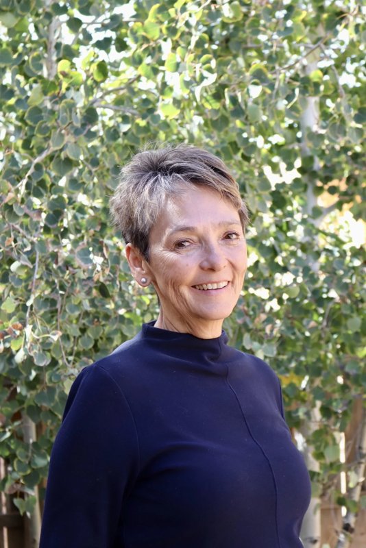 Lisa Sisneros Brow
