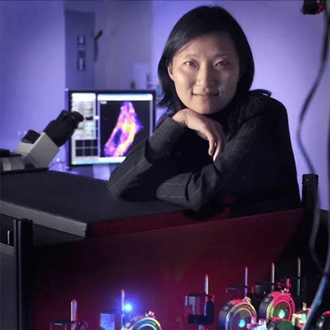 Xiaowei Zhuang