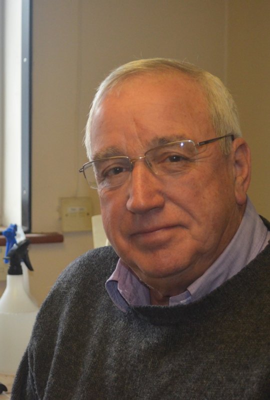 Alan Taylor
