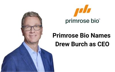 Drew Burch