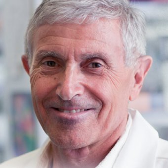 John Rossi