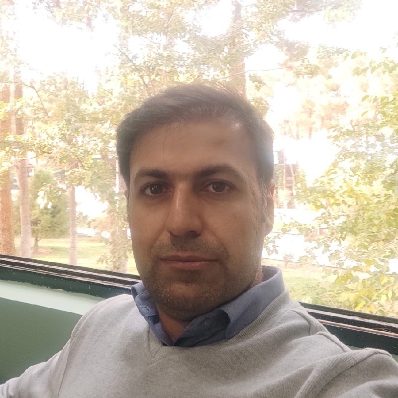 Seyed Mohammad Hasheminejad