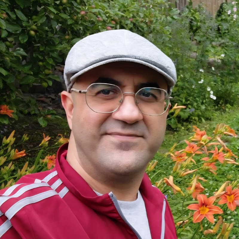 Hamed