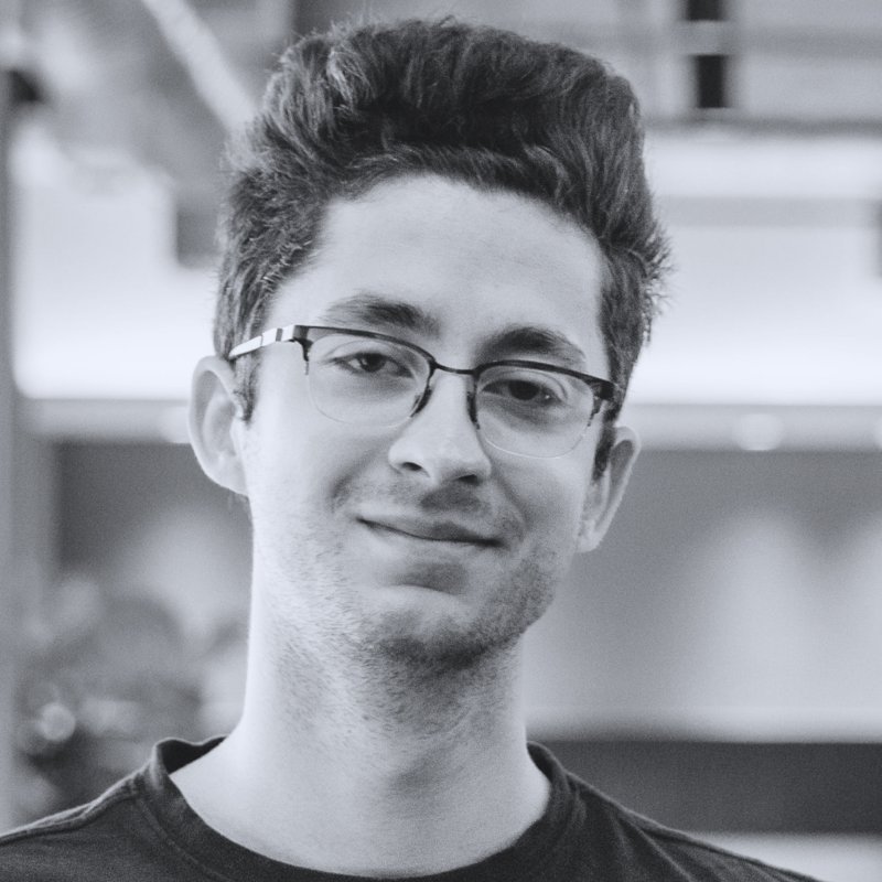 Vlad Papancea