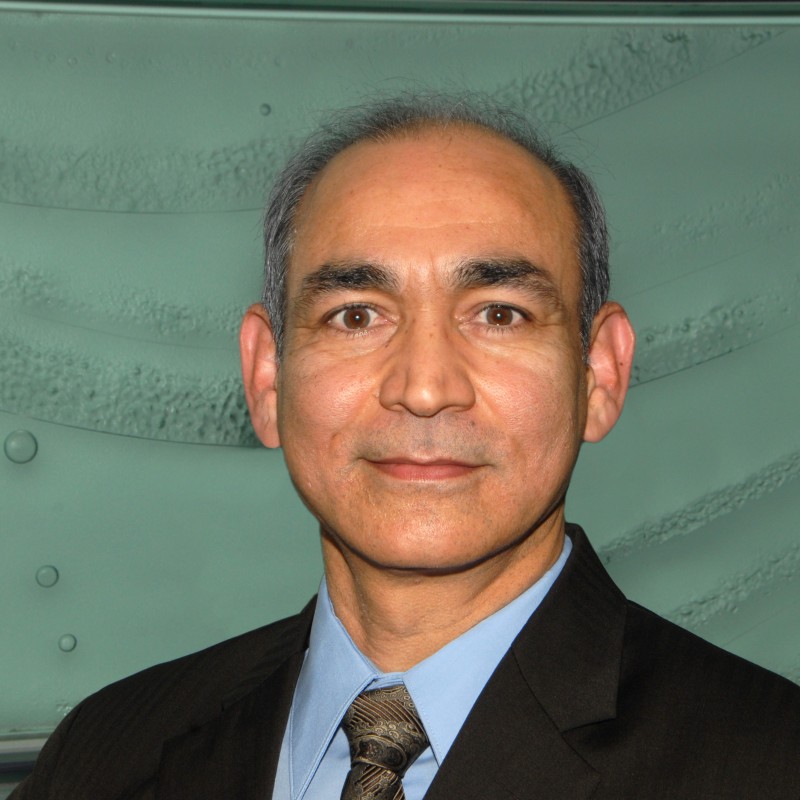 Kamal D. Puri