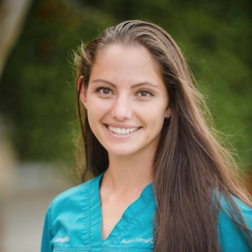 Meghan Wolfgram