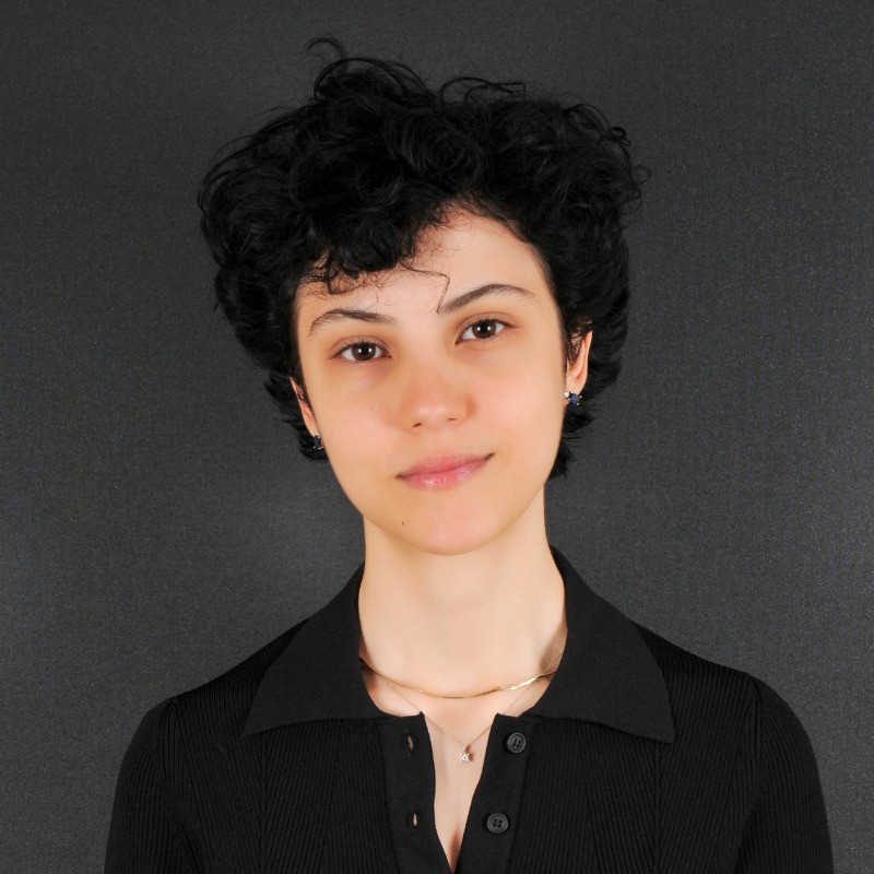 Deniz Ozgur