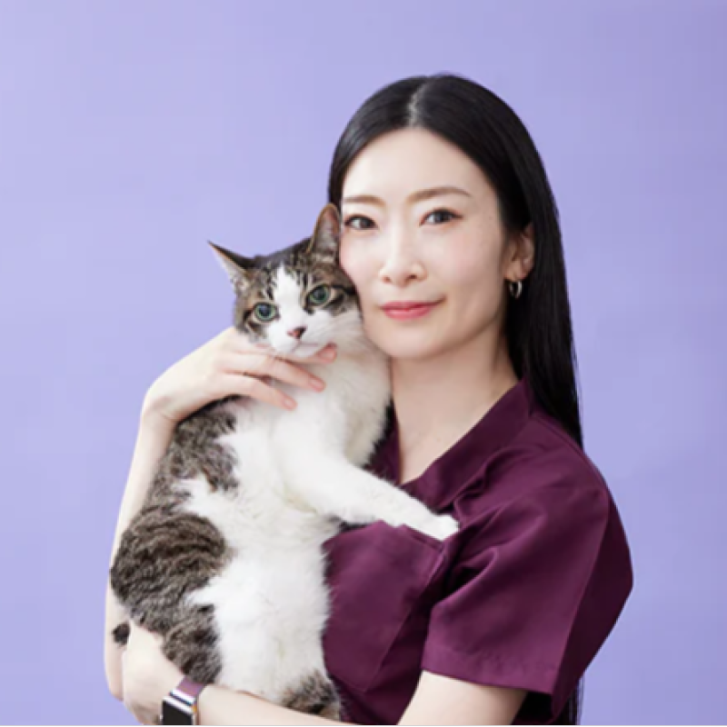 Ai Sugimoto
