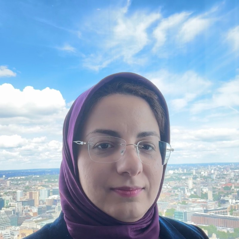 Yasaman KalantarMotamedi