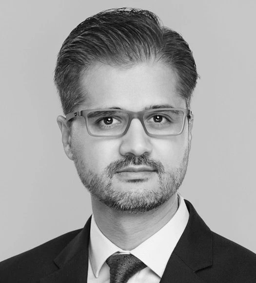 A. Hadi Chaudhry